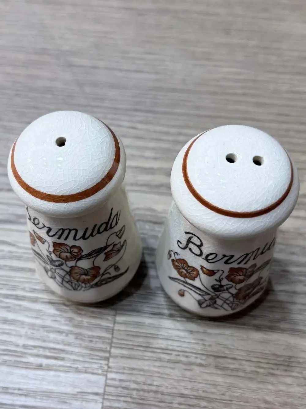 Vintage Bermuda Souvenir Ceramic Floral Salt and Pepper Shakers Set